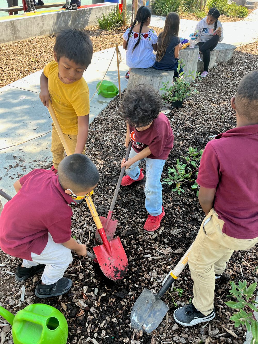 Children in school polos dig a garden bed with shovels while classmates sit on stumps behind them.