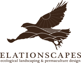 Elationscapes