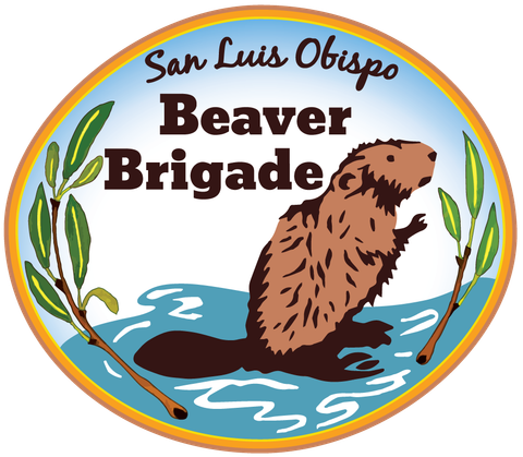 SLO Beaver Brigade