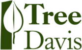 Tree Davis