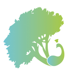 Sustainable Palos Verdes Schools Foundation / Palos Verdes School Gardens